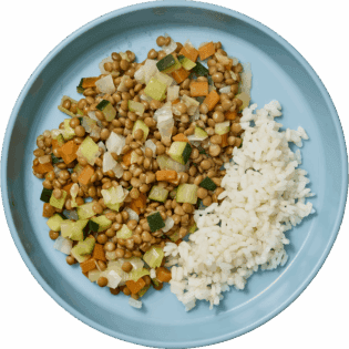 Lentejas con verduras y arroz